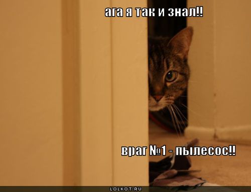 пылесос