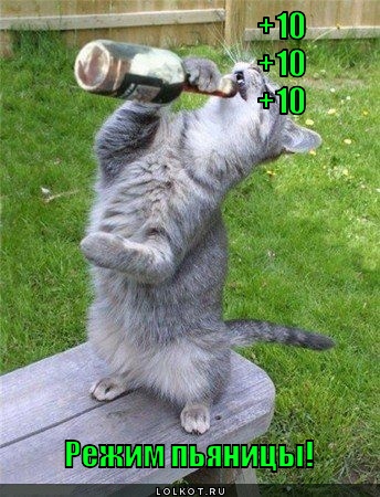 Режим!