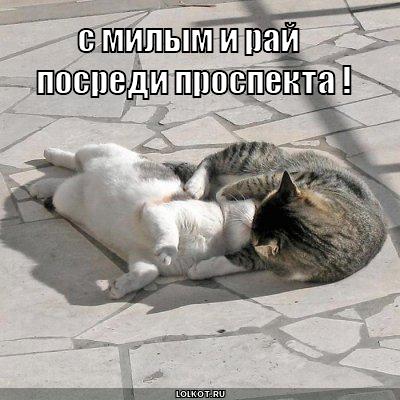 с милым и рай, посреди проспекта !