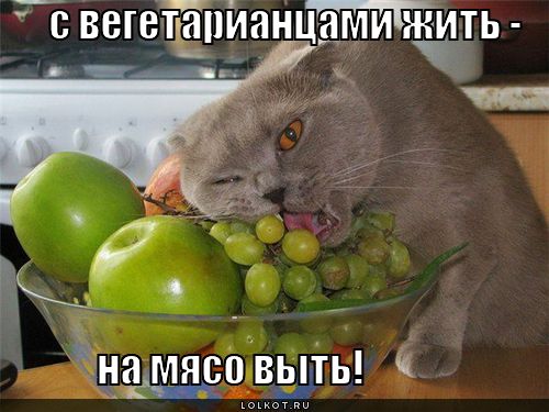 с вегетарианцами жить - , на мясо выть!