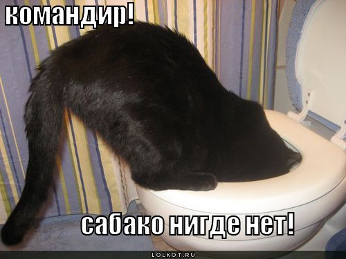 сабако нигде нет!