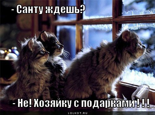 - санту ждешь? 