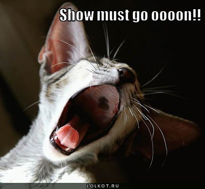 show must go on!