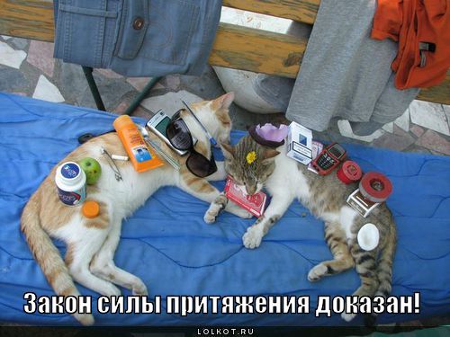 Силы притяжения!