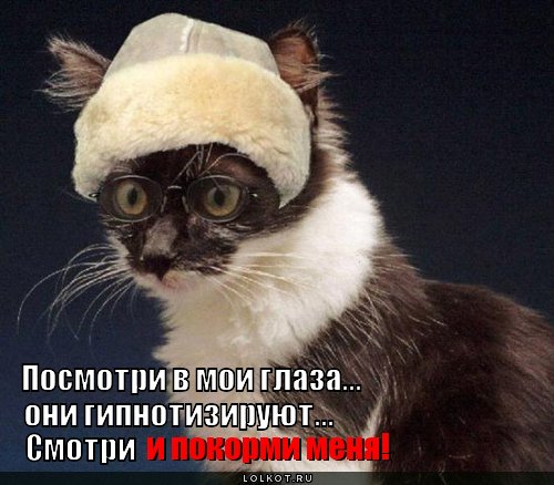 Смотри в мои глаза...