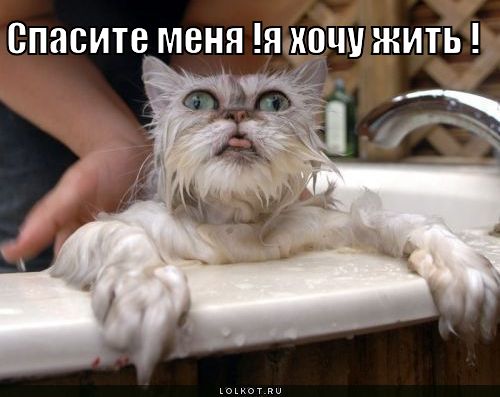 спасите меня !!!