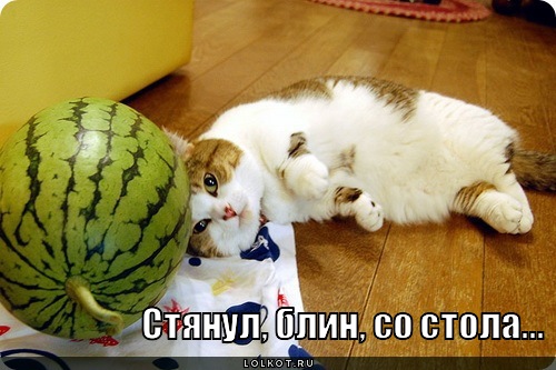 стянул, блин, со стола...