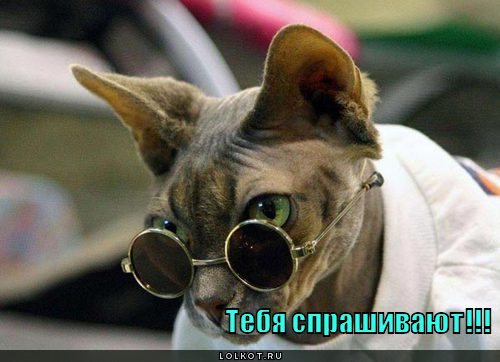 тебя спрашивают!!!
