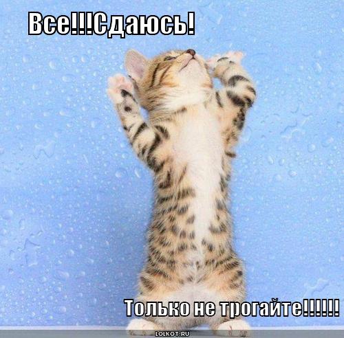 только не трогайте!!!!!!