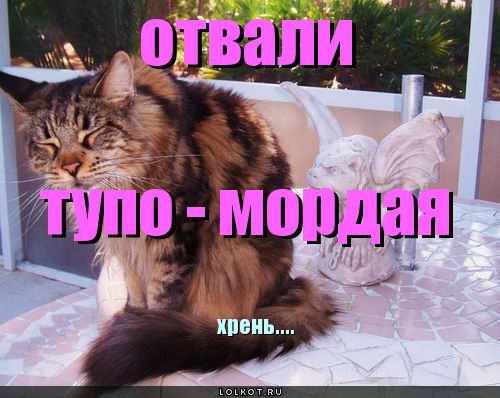 Тупо-мордая хрень...