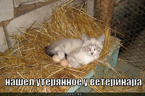 ...утерянное...