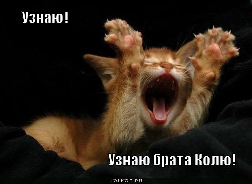 узнаю брата!