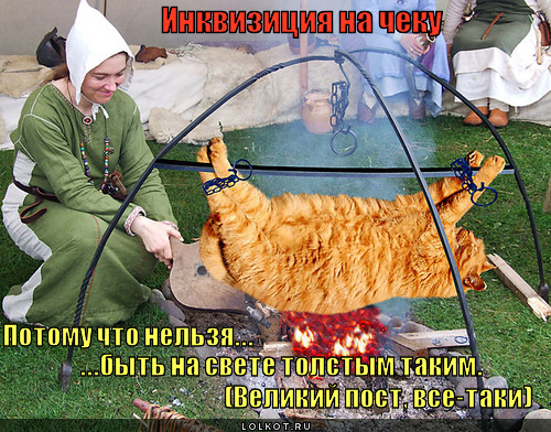 Пост картинки прикольные