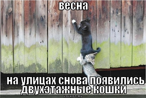 весна!