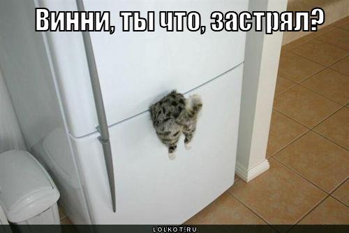 винни застрял