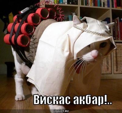 вискас акбар!