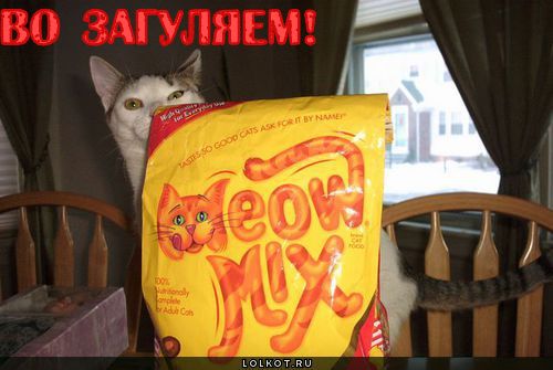 во загуляем!