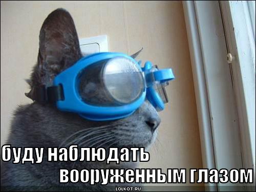 вооруженным глазом