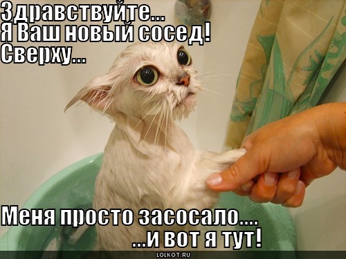  ...вот я тут! 