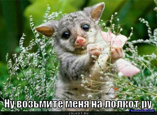 возьмите на лолкот.ру