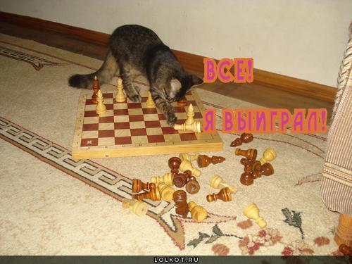 всё!, я выйграл!