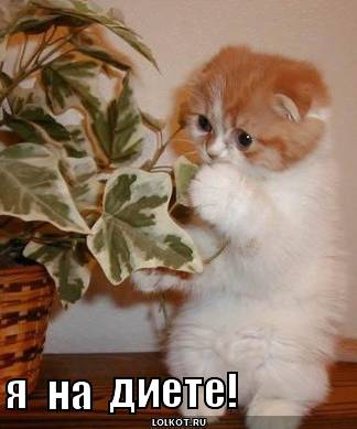 Я на диете!