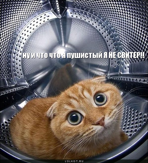  я не свитер!!