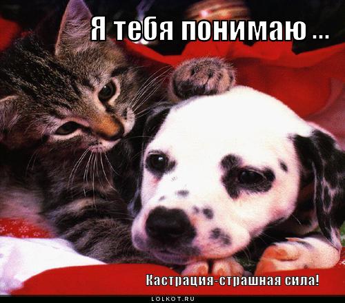 Я тебя понимаю!