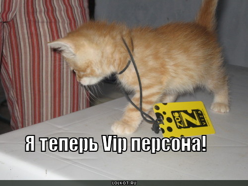 я теперь vip персона!