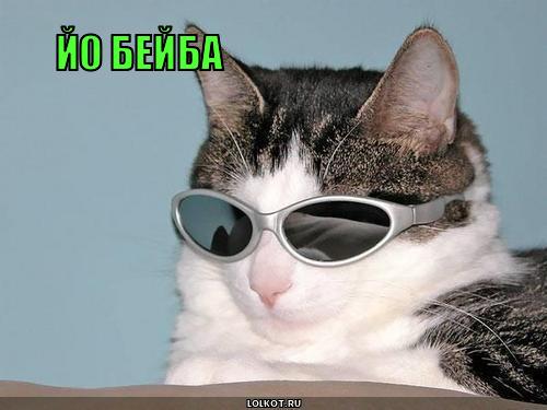 йо бейба