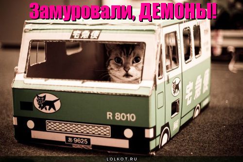 замуровали, демоны!