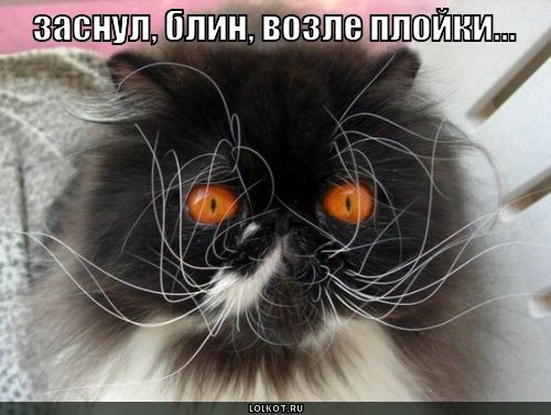 заснул возле плойки