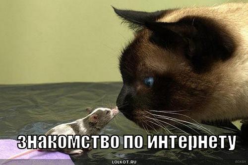 знакомство по интернету