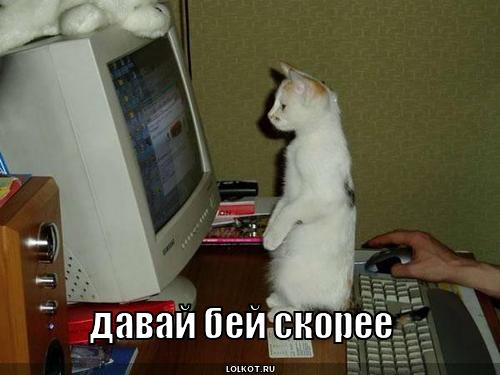 бей скорее