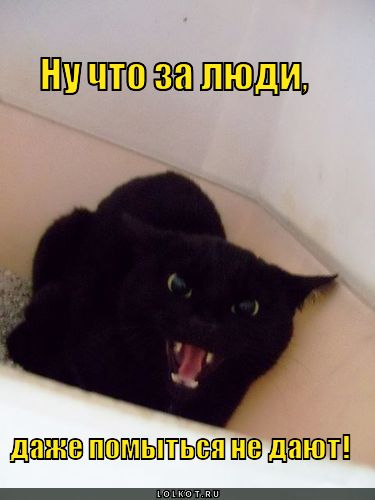 что за люди!