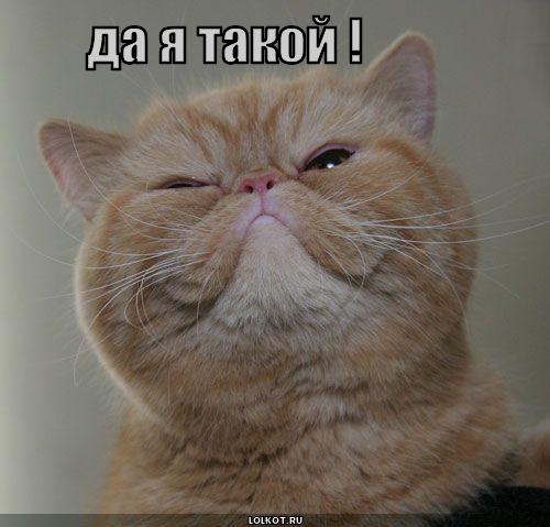 да я такой!
