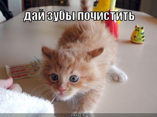 дай зубы почистить