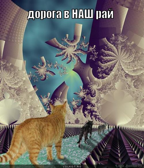 дорога в рай