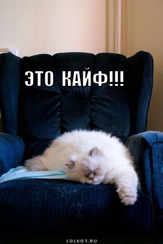 это кайф!
