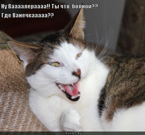 где ванечка?