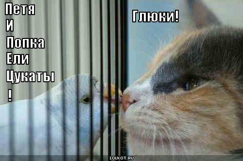 глюки
