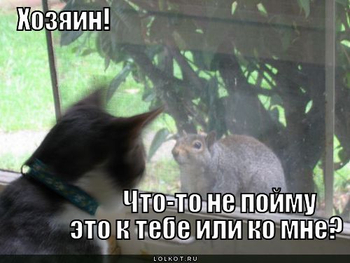 к тебе или ко мне?