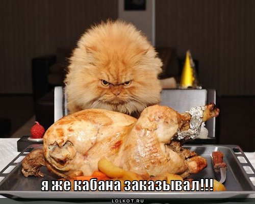 кабана заказывал
