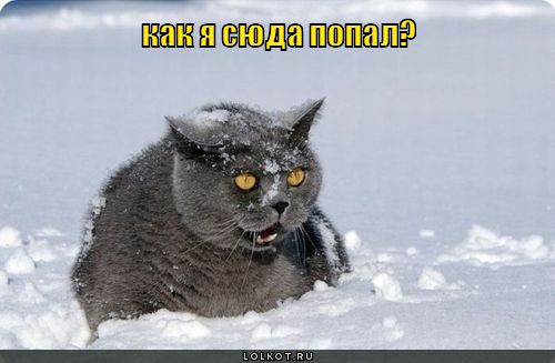 как я сюда попал?