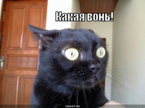 какая вонь!