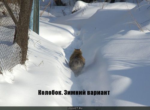 колобок