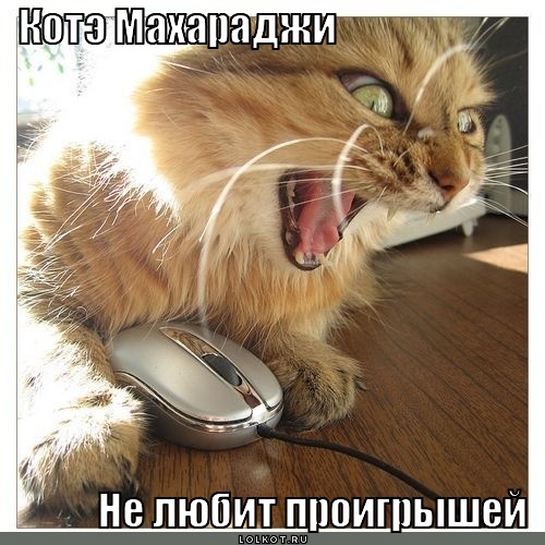котэ махараджи
