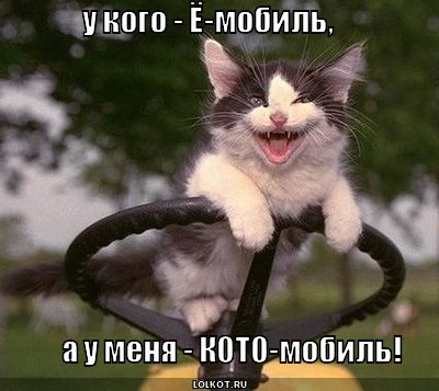 кото-мобиль