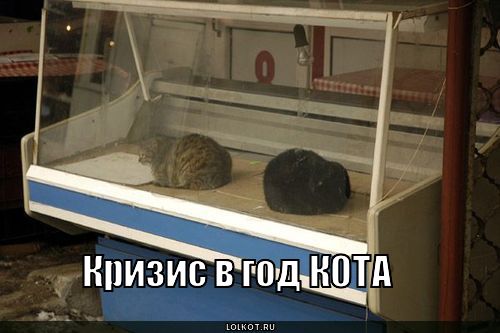 кризис в год кота