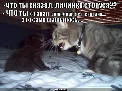 личинка страуса